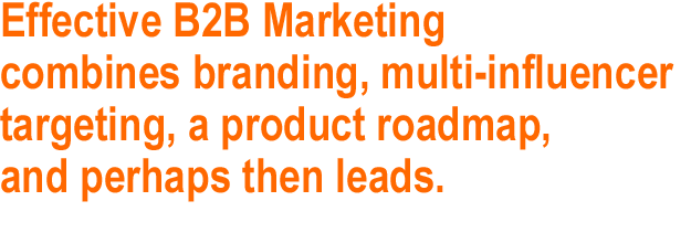Effective B2B Marketing combines branding, multi-influencer targeting, a product roadmap, and perhaps then leads.